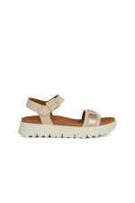 Sss   D Xand 2.1S 
