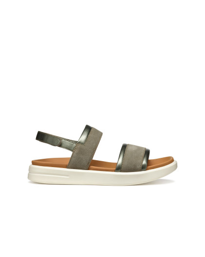 D Xand 2S 