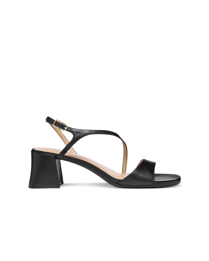 D New Eraklia 50 T01 