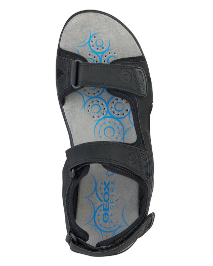 U Spherica Ec5 
