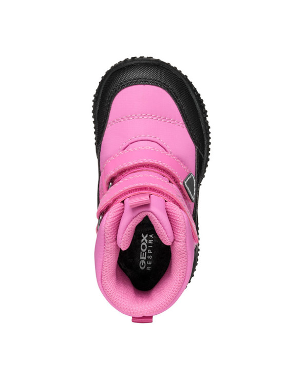 B Baltic Girl B Abx