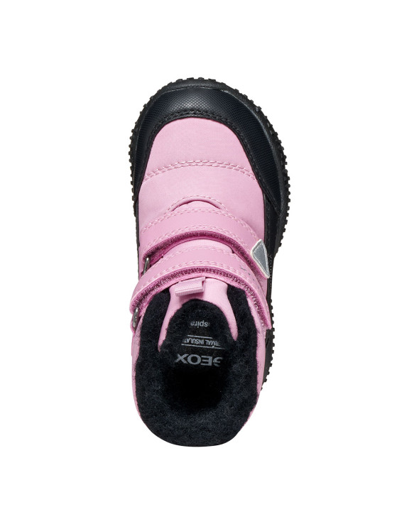 B Baltic Girl B Abx 