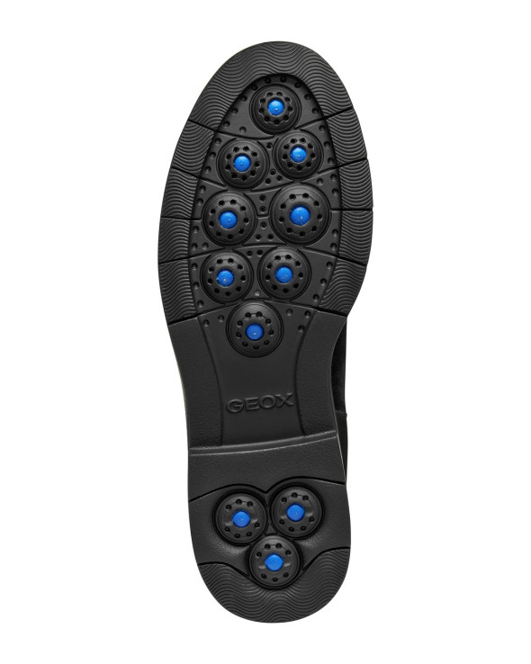 D Spherica Ec1 