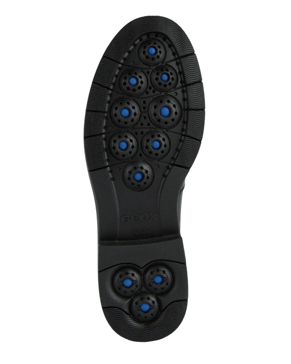 D Spherica Ec1 