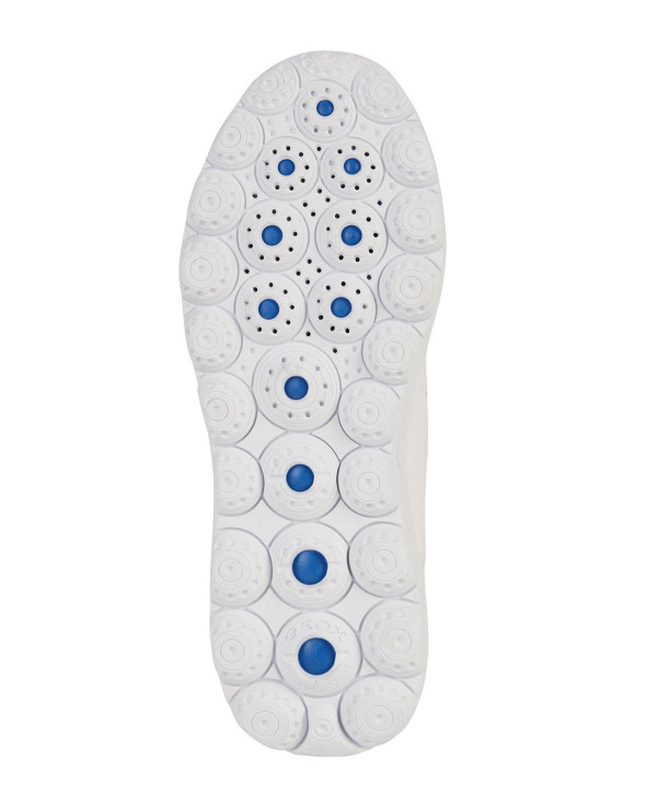 D Spherica