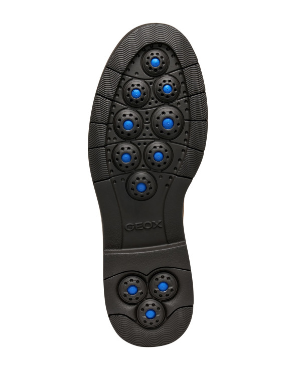 D Spherica Ec1 