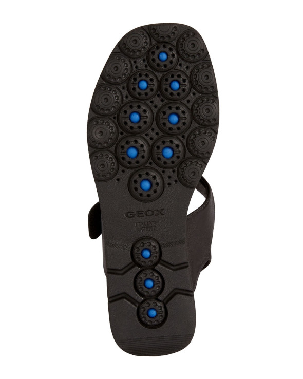 D Spherica Ec6