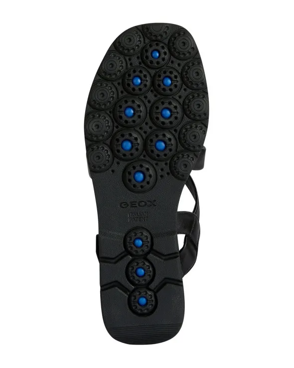 D Spherica Ec6