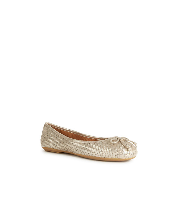 D Palmaria Ss24