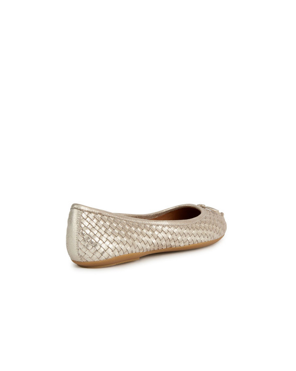 D Palmaria Ss24