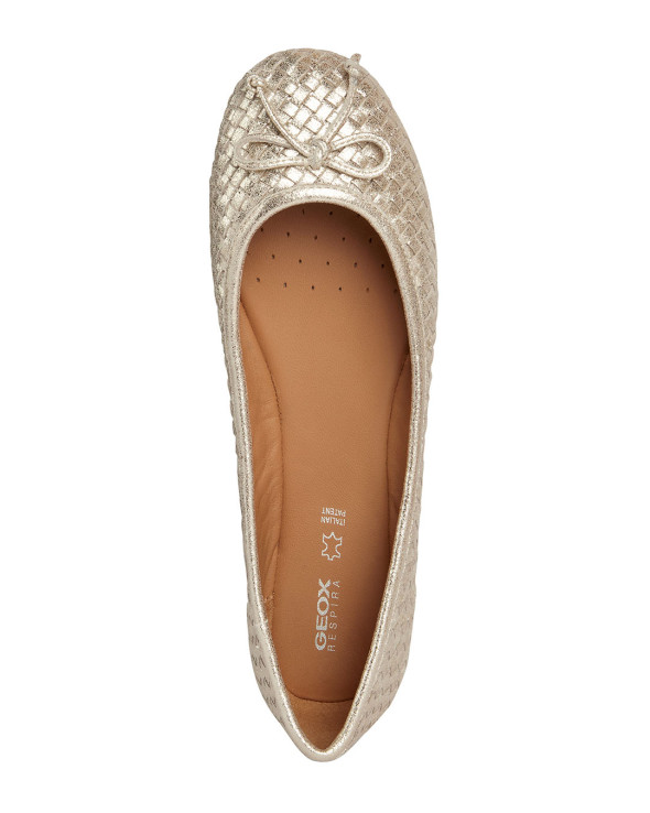 D Palmaria Ss24