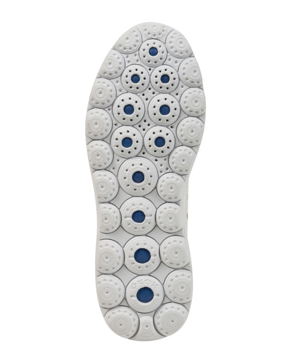 D Spherica
