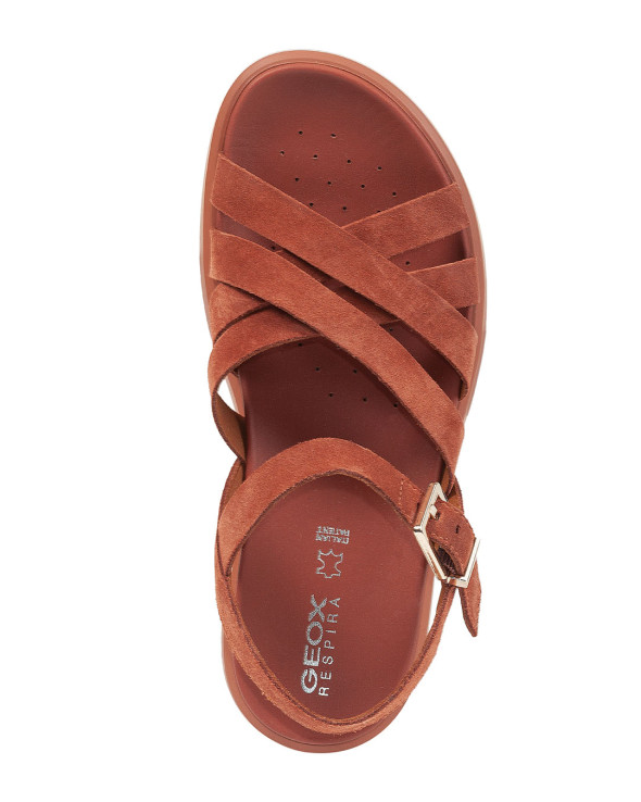 D Xand 2S 