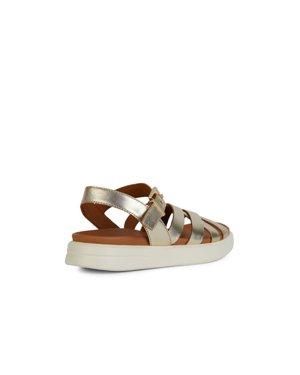 D Xand 2S 
