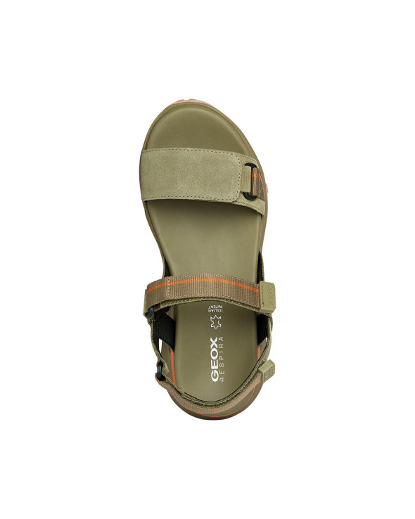 D Sorapis + Grip