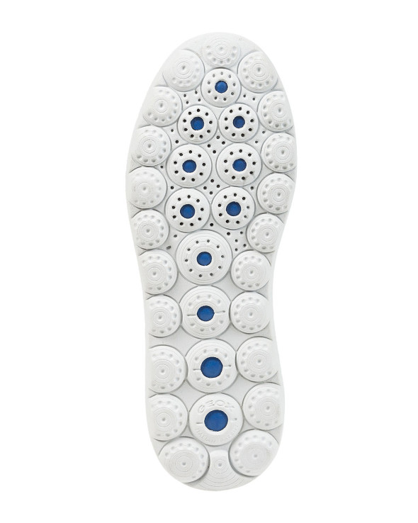 D Spherica Ec4.1