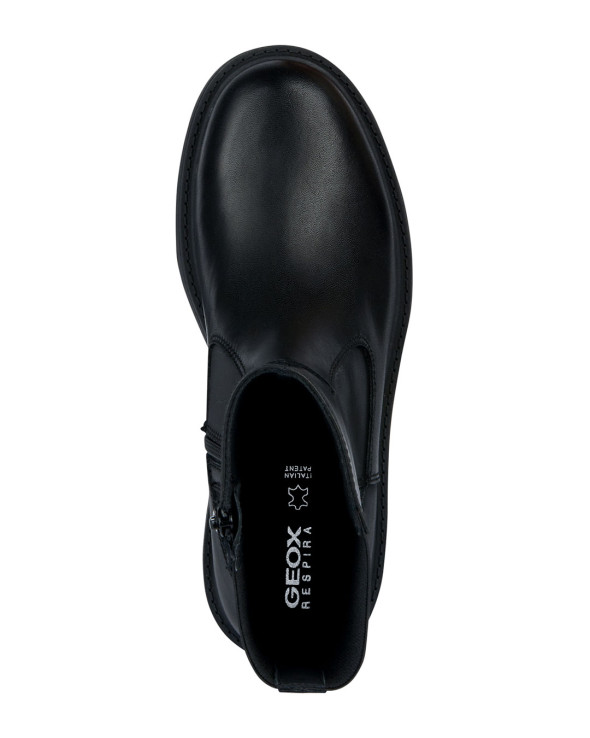 D Spherica Ec7