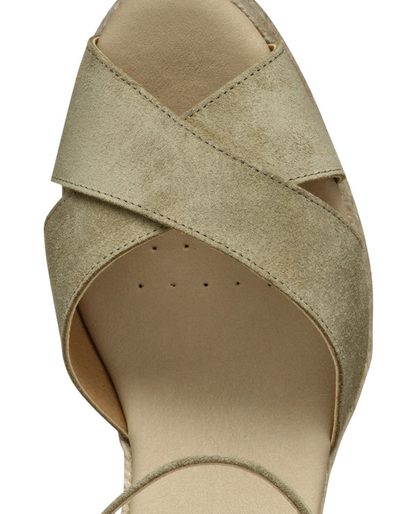 D Gelsa Low