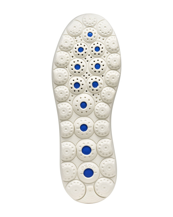D Spherica Ec4.1 