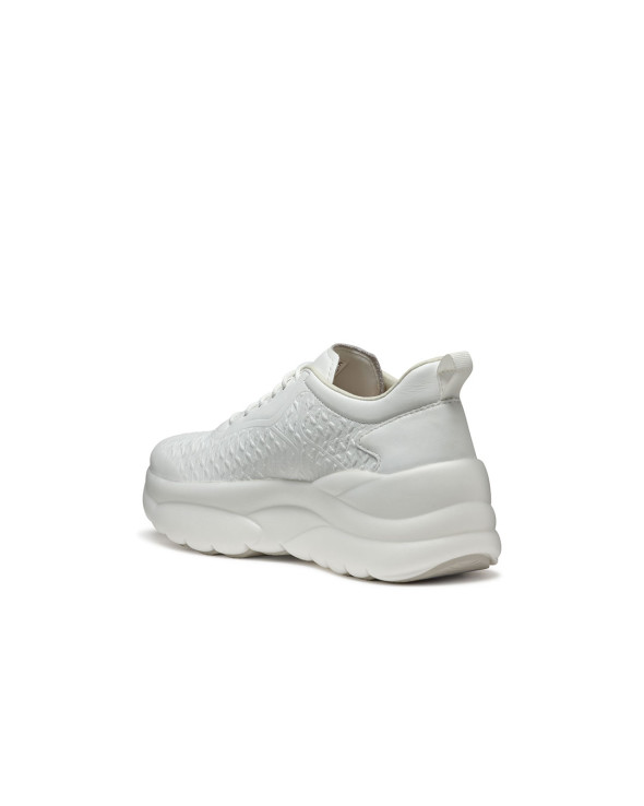 D Xtors 