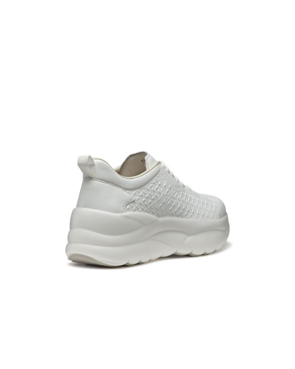 D Xtors 