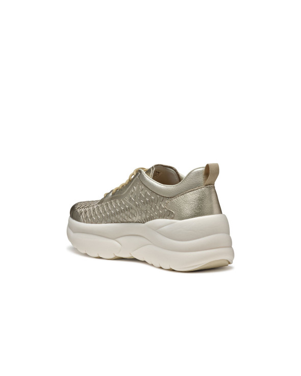 D Xtors 