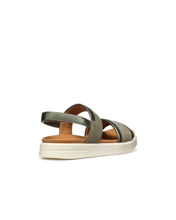 D Xand 2S 