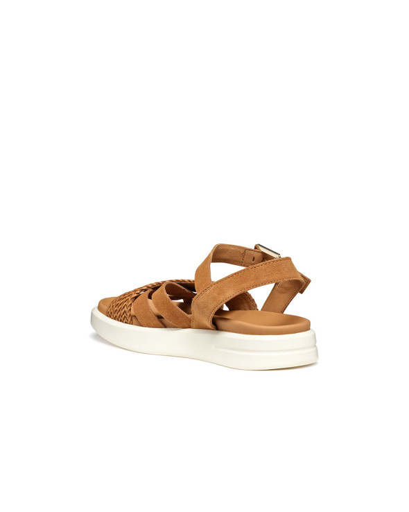 D Xand 2S