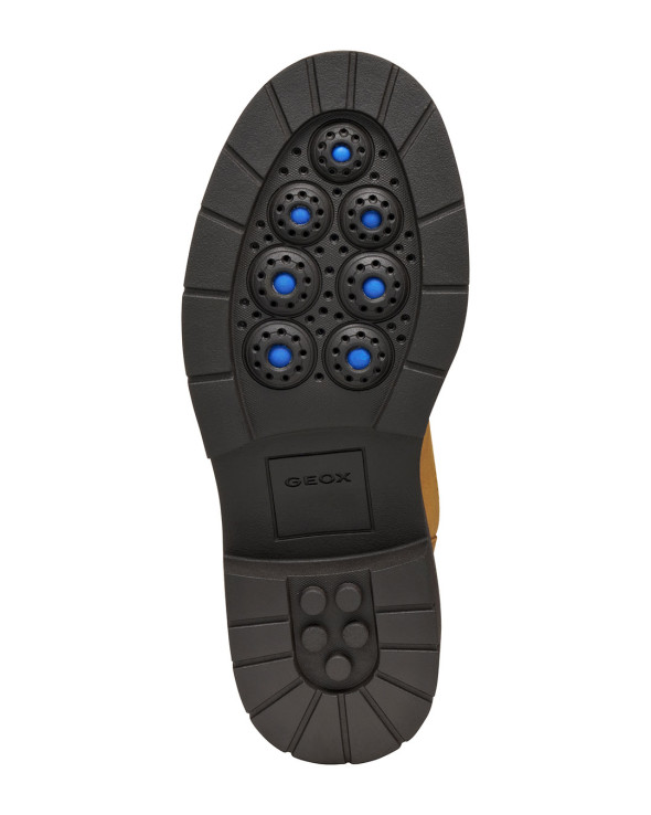 D Spherica Ec7