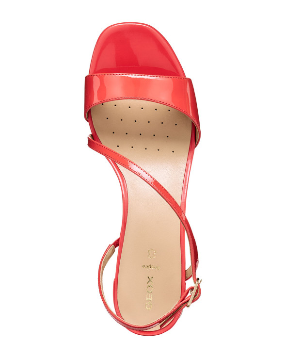 D New Eraklia 50 T01 