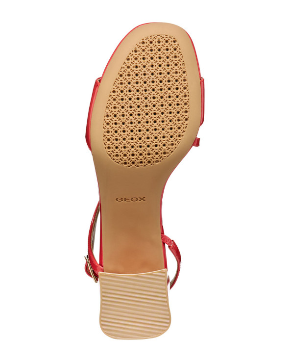 D New Eraklia 50 T01 