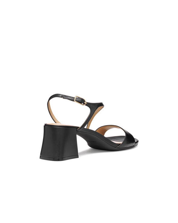 D New Eraklia 50 T01 