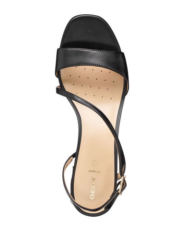 D New Eraklia 50 T01 