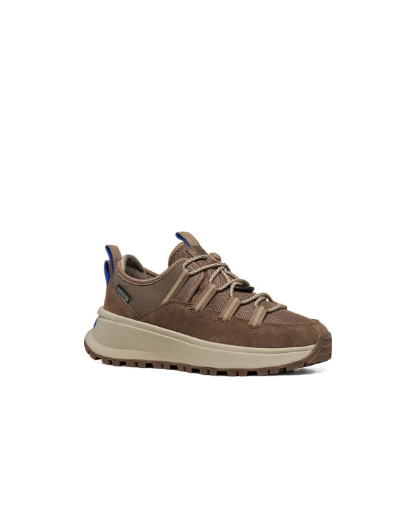 D Gxrn-03 B Abx 