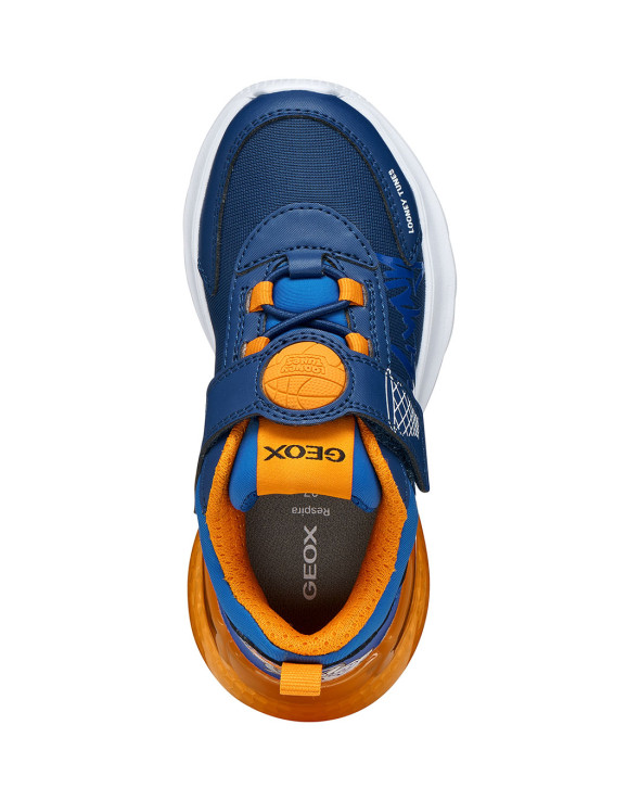 J Activart Illuminus 