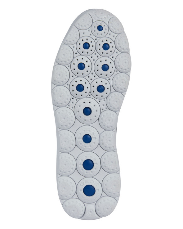 U Spherica