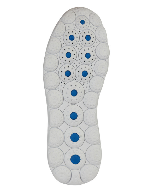 U Spherica 