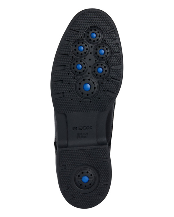 U Spherica Ec11
